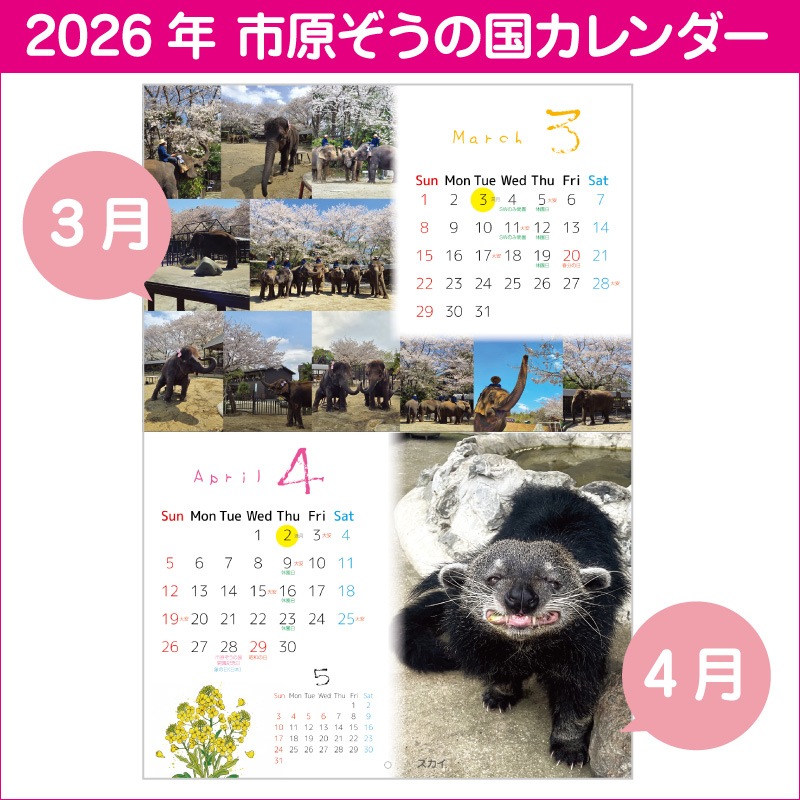 �ڿ��̸����2026ǯ���ꥸ�ʥ륫��������