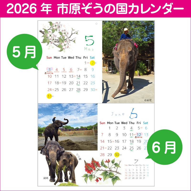 �ڿ��̸����2026ǯ���ꥸ�ʥ륫��������