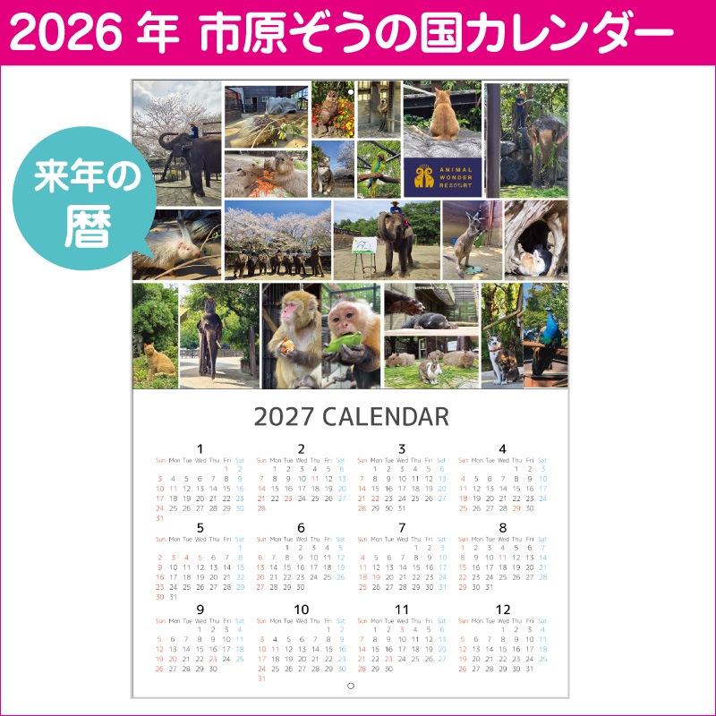 �ڿ��̸����2026ǯ���ꥸ�ʥ륫��������