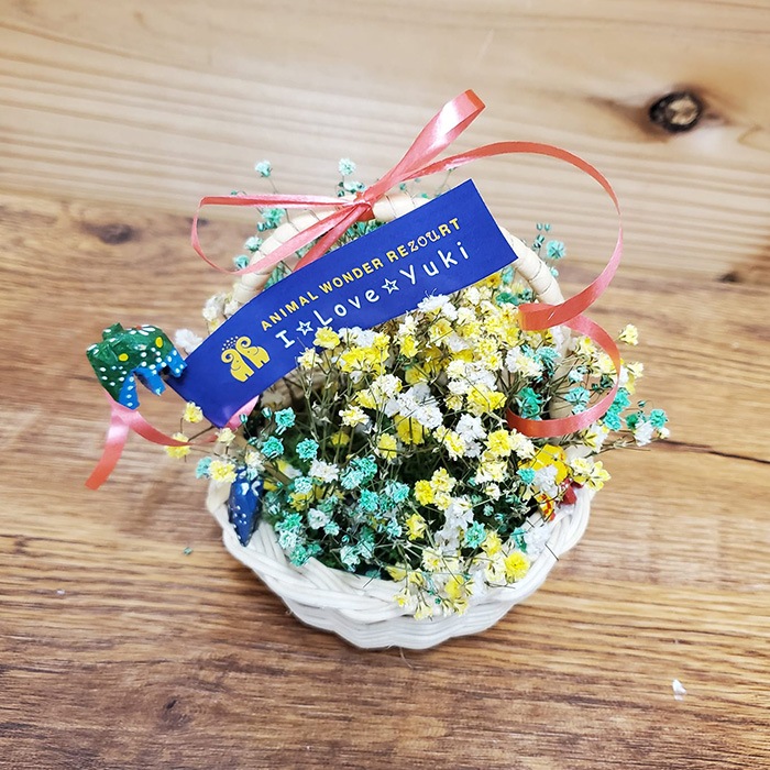 ��WEB����۷��߻ٱ���ա���Ĺ���ꡡ�ɥ饤�ե�����󥸥��ȡʾ��� ����������������