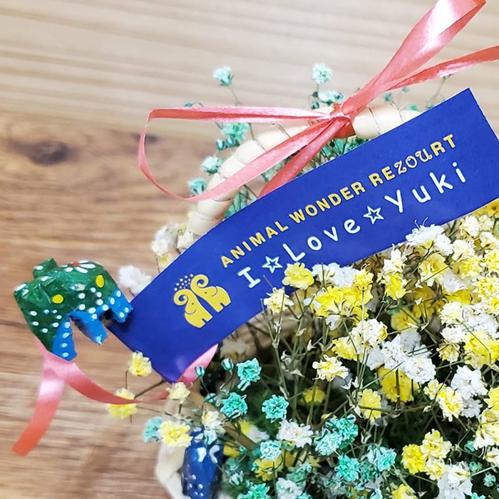 ��WEB����۷��߻ٱ���ա���Ĺ���ꡡ�ɥ饤�ե�����󥸥��ȡʾ��� ����������������