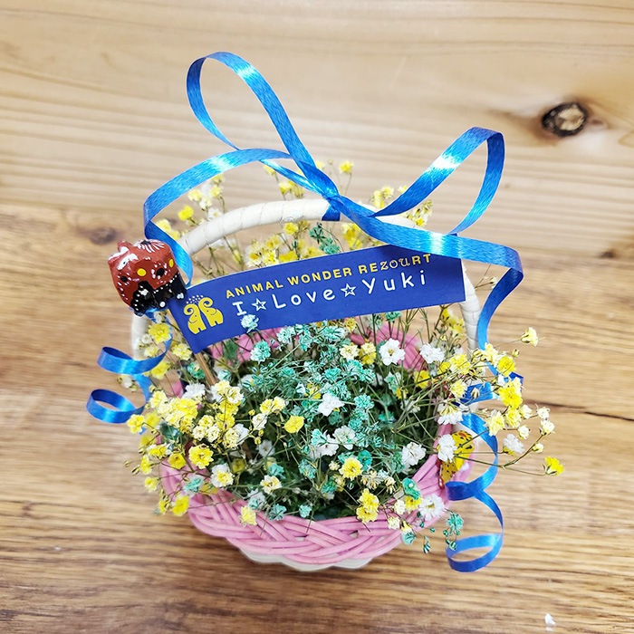 ��WEB����۷��߻ٱ���ա���Ĺ���ꡡ�ɥ饤�ե�����󥸥��ȡʾ��� ����������������