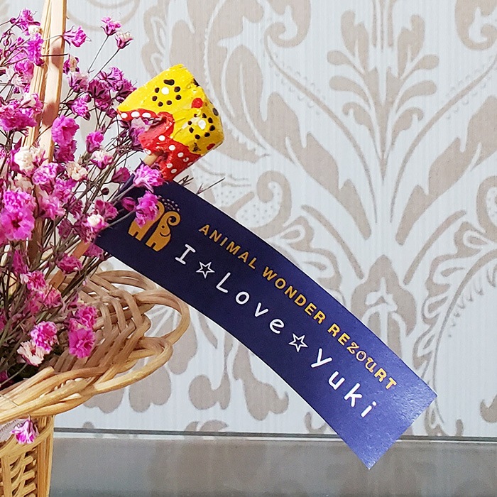 ��WEB����۷��߻ٱ���ա���Ĺ���ꡡ�ɥ饤�ե�����󥸥��ȡ���� ����������������