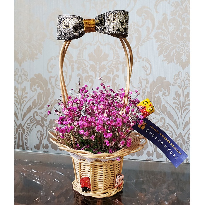 ��WEB����۷��߻ٱ���ա���Ĺ���ꡡ�ɥ饤�ե�����󥸥��ȡ���� ����������������