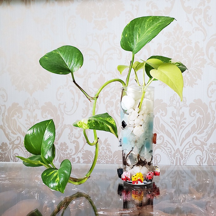 ��WEB����۷��߻ٱ���ա���Ĺ���ꡡ�����ޤ�����������������