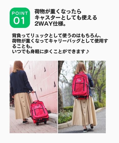 ノプコ　キャリーリュック　背面着脱小型リュック　カバー付き 楽天市場】【LINEお友だち登録で300円OFF】 ペットキャリー