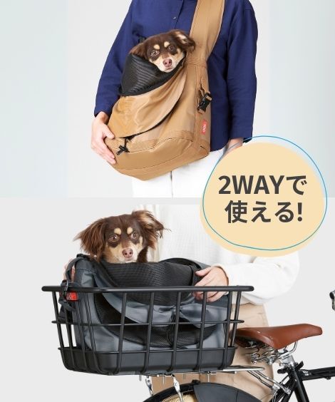 �ڥåȤȤ��Ф����Хå��ʥ���󥰡�