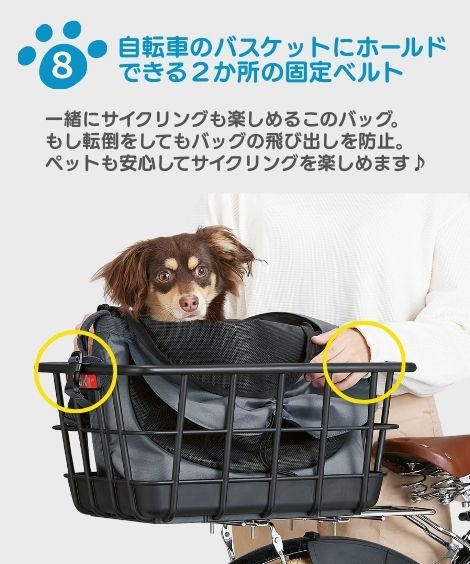 �ڥåȤȤ��Ф����Хå��ʥ���󥰡�