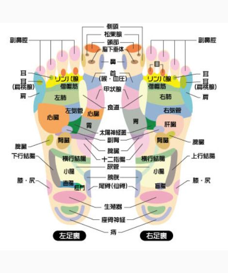 롼