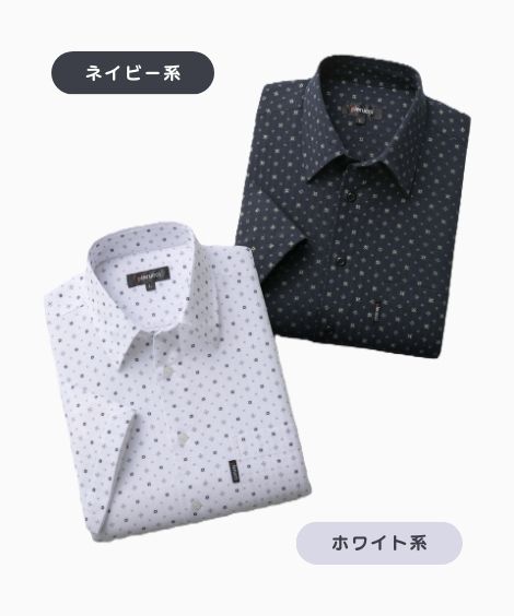 ��Pierucci����100%��������ʬ��µ�����2����