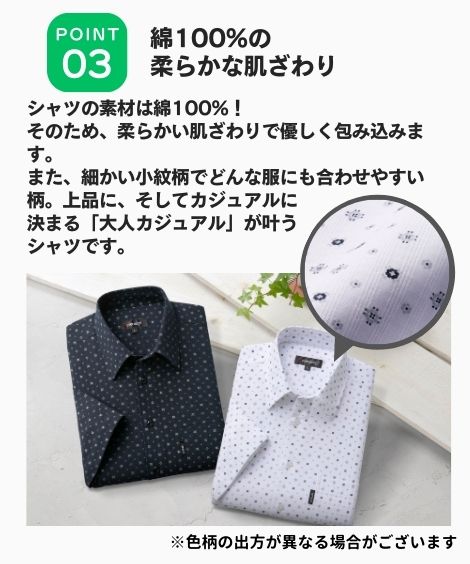 ��Pierucci����100%��������ʬ��µ�����2����