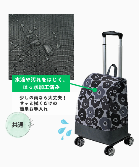 CHARMISSͥåԥ󥰥