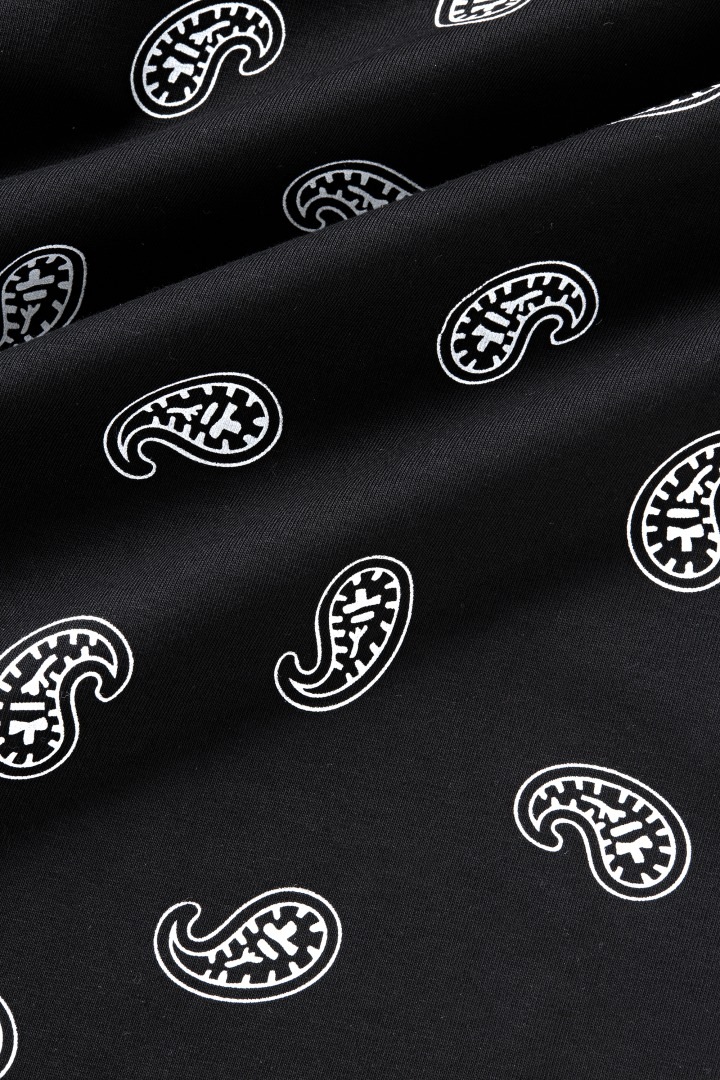 ペイズリーTシャツ