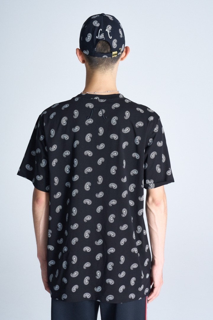 ペイズリーTシャツ