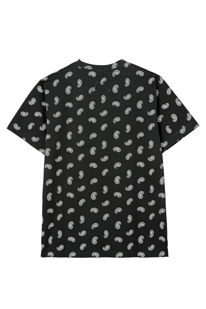 ペイズリーTシャツ
