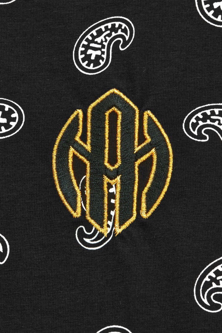 ペイズリーTシャツ