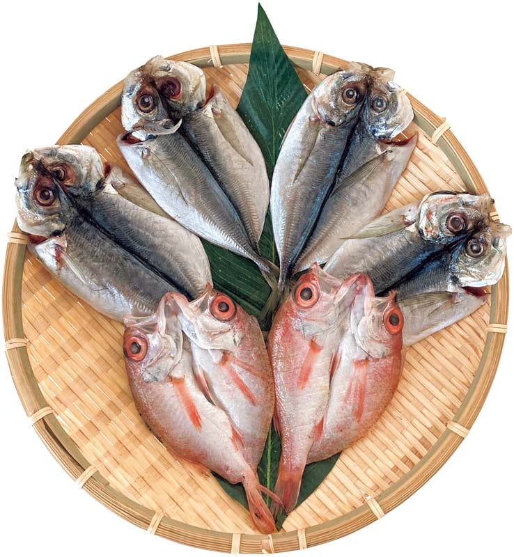 ڤ渵纬 ŷΤɤȿγ B4-9