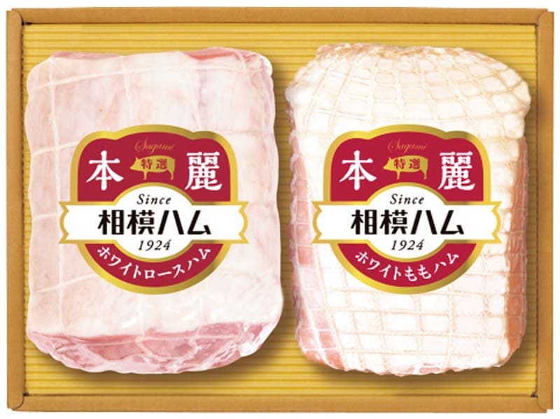 ڤ渵ϥϥ 葉ե SR-503