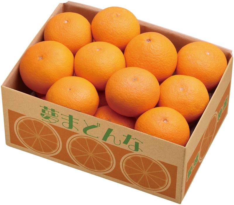 �ڤ�����۰�ɲ���� ̴�ޤɤ�� B15-8