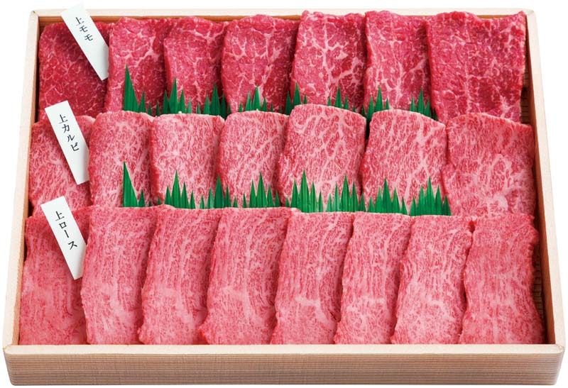 ڤۥԥȤεܺ ١5 Y5-4Y