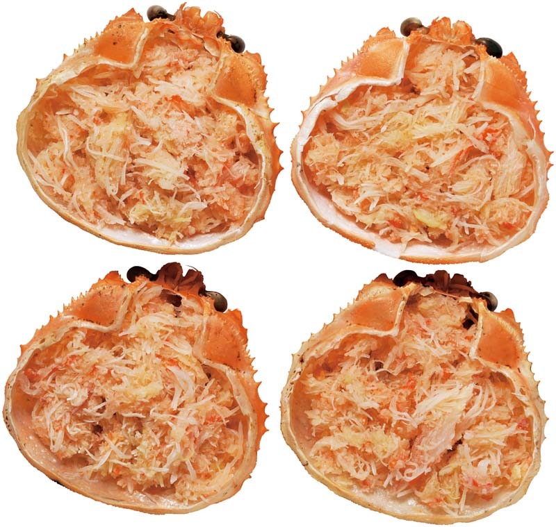 �ڤ�������̳�ƻ�� �������磻���������� B1-4B