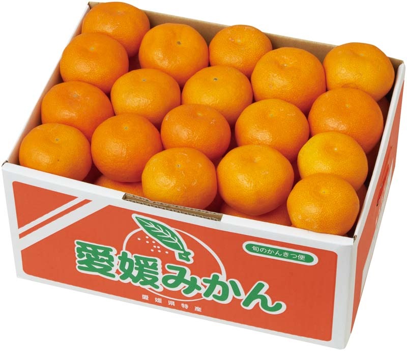 �ڤ�����۰�ɲ�ߤ��� Y13-6B