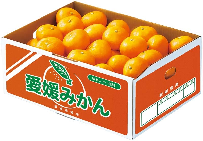 �ڤ�����۰�ɲ�ߤ��� B13-3