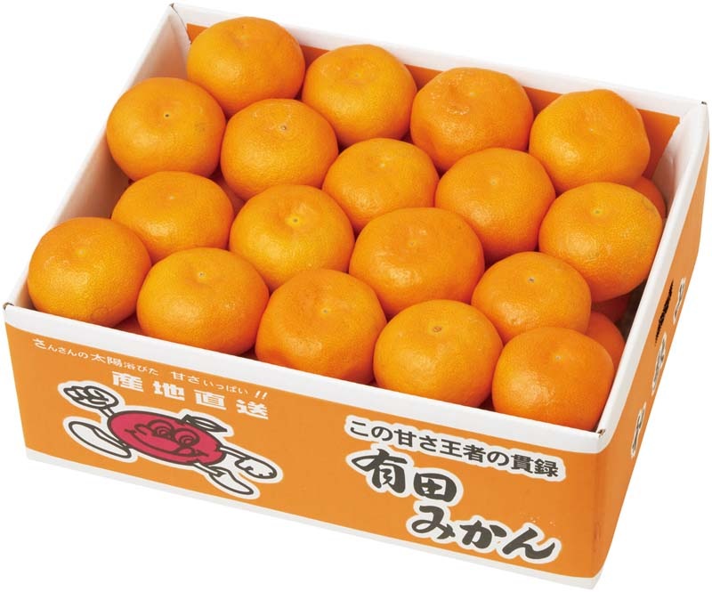 �ڤ�������²λ����� ͭ�Ĥߤ��� G13-2B