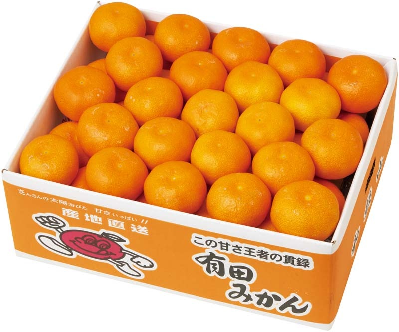 �ڤ�������²λ����� ͭ�Ĥߤ��� B13-1B