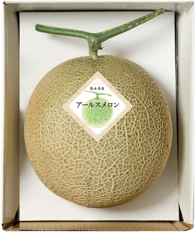 �ڤ�����۷��ܸ��� �����륹����� B10-4