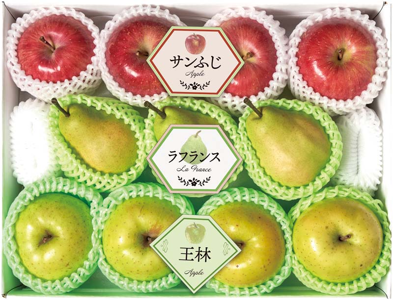 �ڤ�������ߤβ̼�3��͹礻 Y14-16A