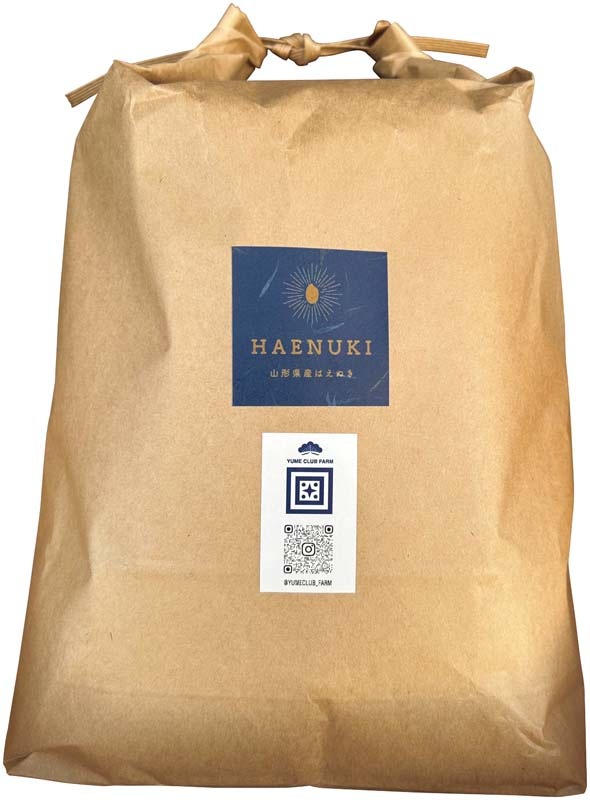 �ڤ�����ۻ��������ơʤϤ��̤��� B28-8