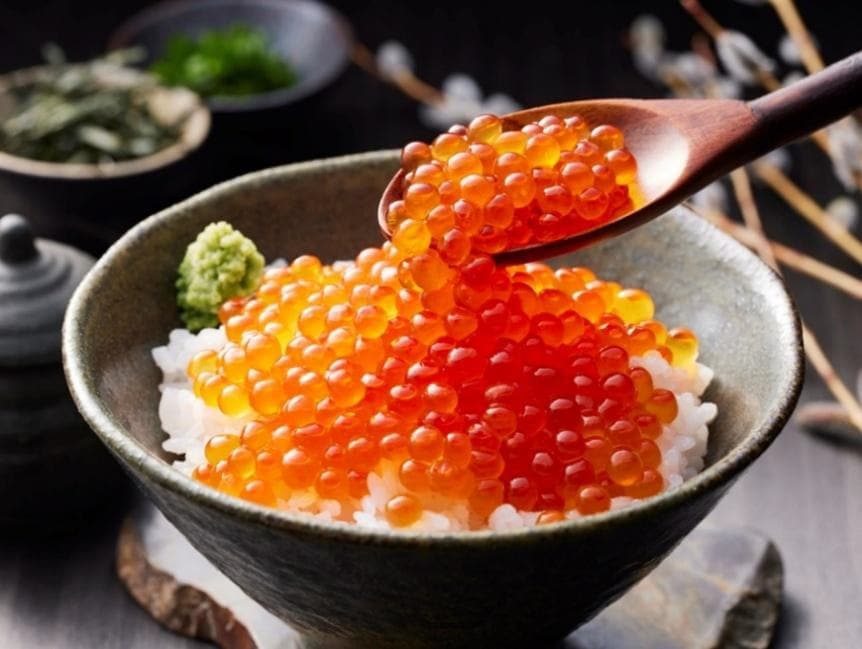 �̳�ƻ�� ����������Ҥ�