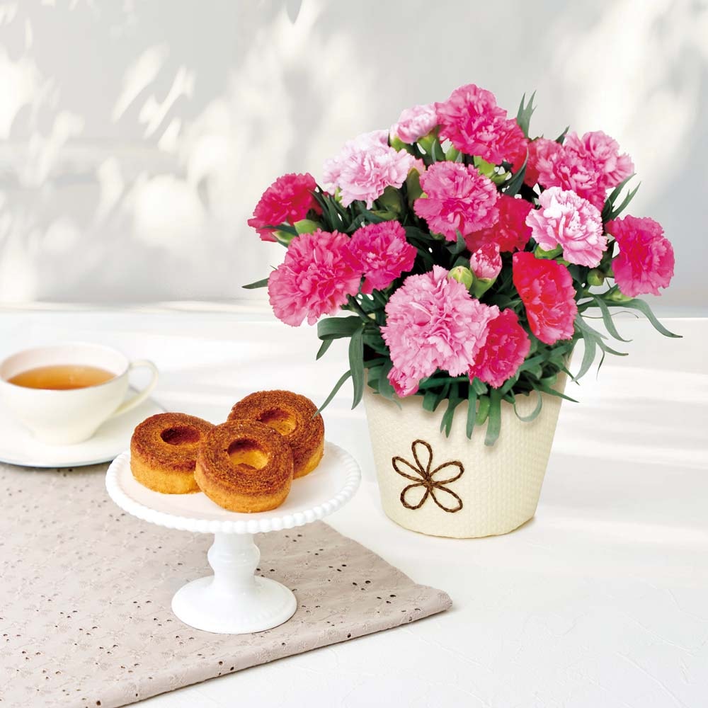 ��������ۥ����͡������ʥۥåȥϡ��ȡˤ�T.D.Early ������ꥼ�Х��� B40-1