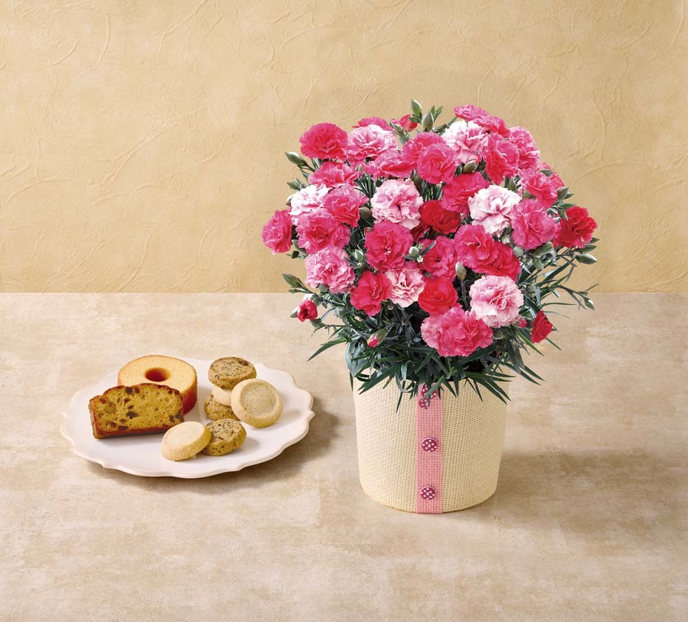 ��������ۥ����͡������ʤ������ʤ��ˤȡ֥ѥƥ����꡼ ���ϥ��ץ�������BOX A40-1