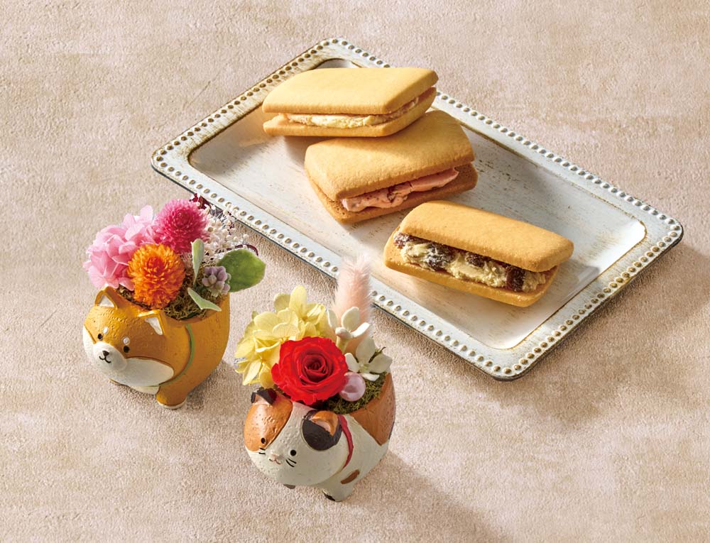 ��������ۥ��˥ޥ�ץꥶ�ȡֶ����ɥ���׶�¥ե롼�ĥ���� C40-6