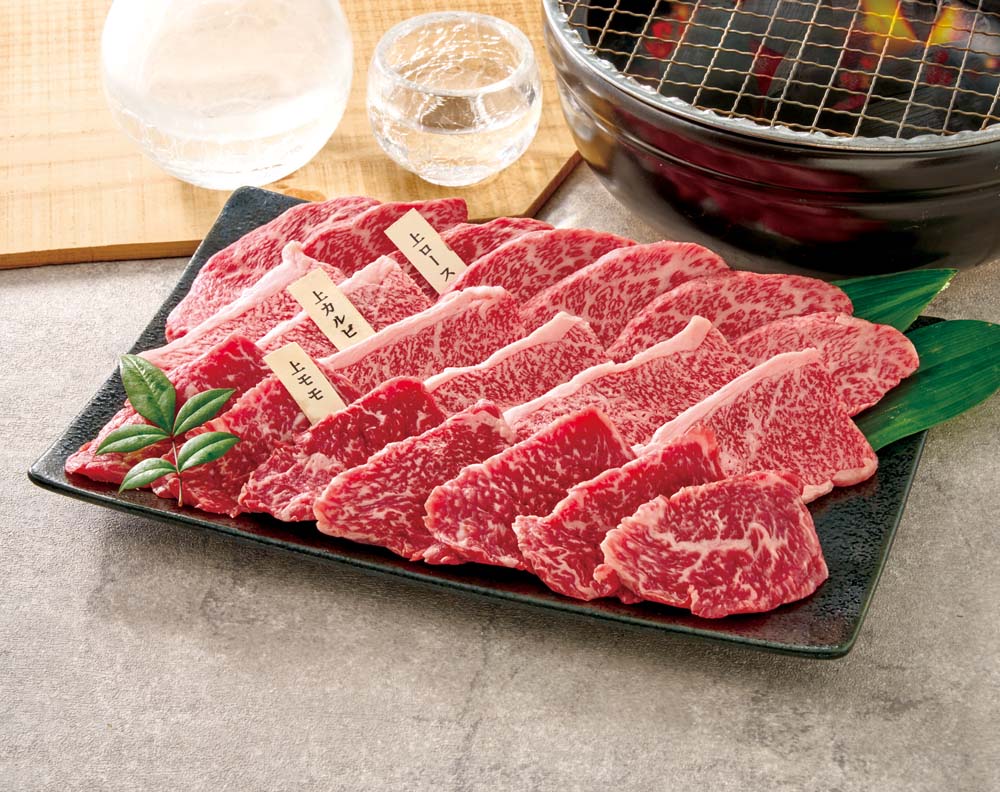 ��������۵ܺ�� ����������١�5����� Y5-4Y