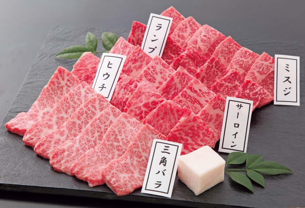 �ڤ��渵�ۡ�������׶Ṿ�� ����������5������ SEN-303