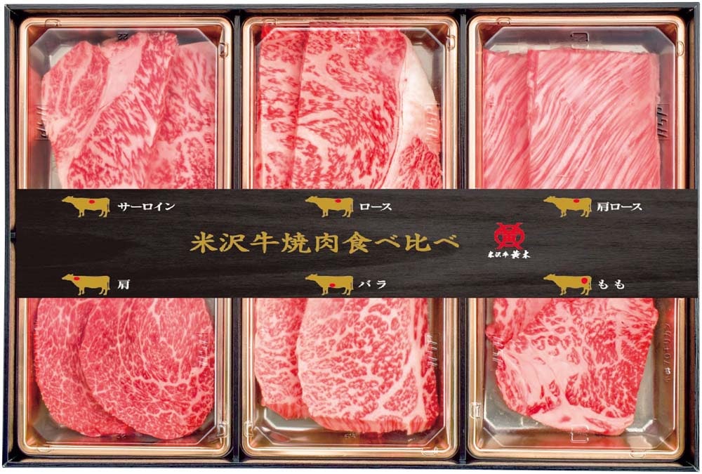 �ڤ��渵�ۡ����������ڡ������� �������������� YYT100N