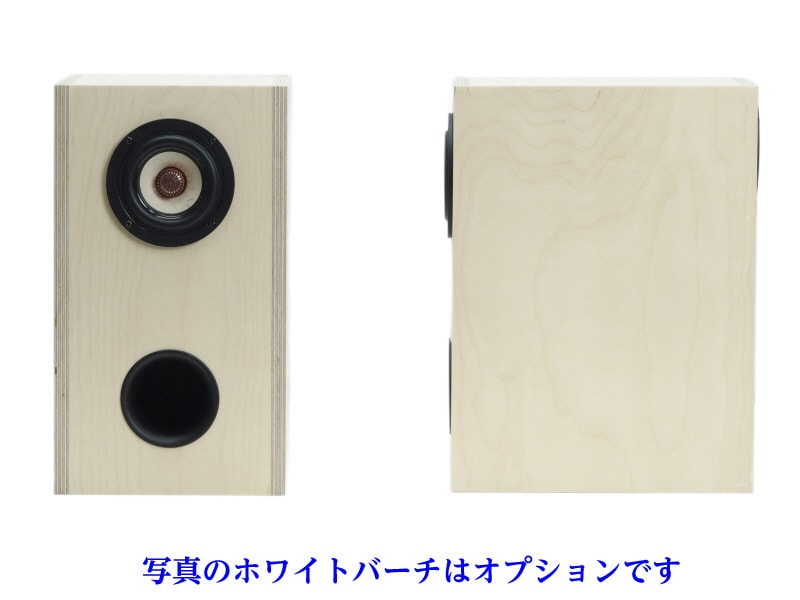 ڸZ701-Siena2025ǯ12Ǽ