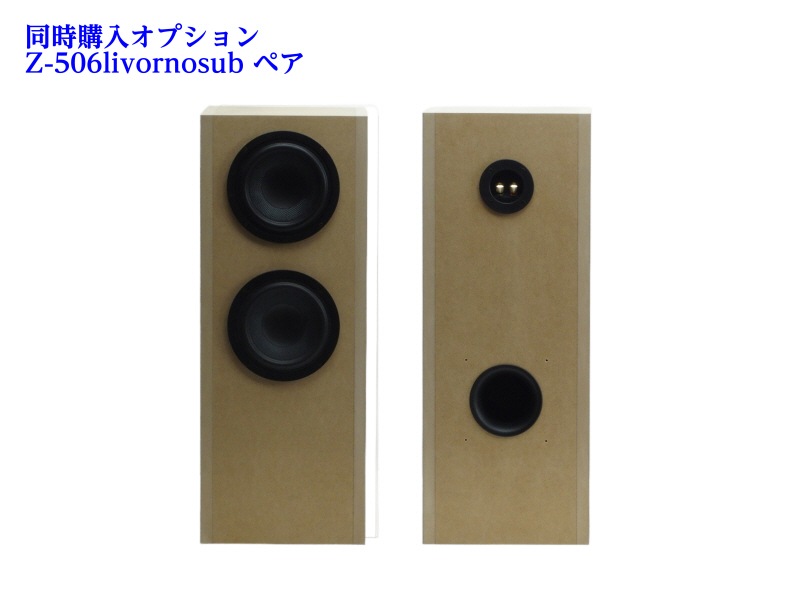 Z600-Cannonball 160 (V1.2)��2026ǯ4����Ǽ��ʬ