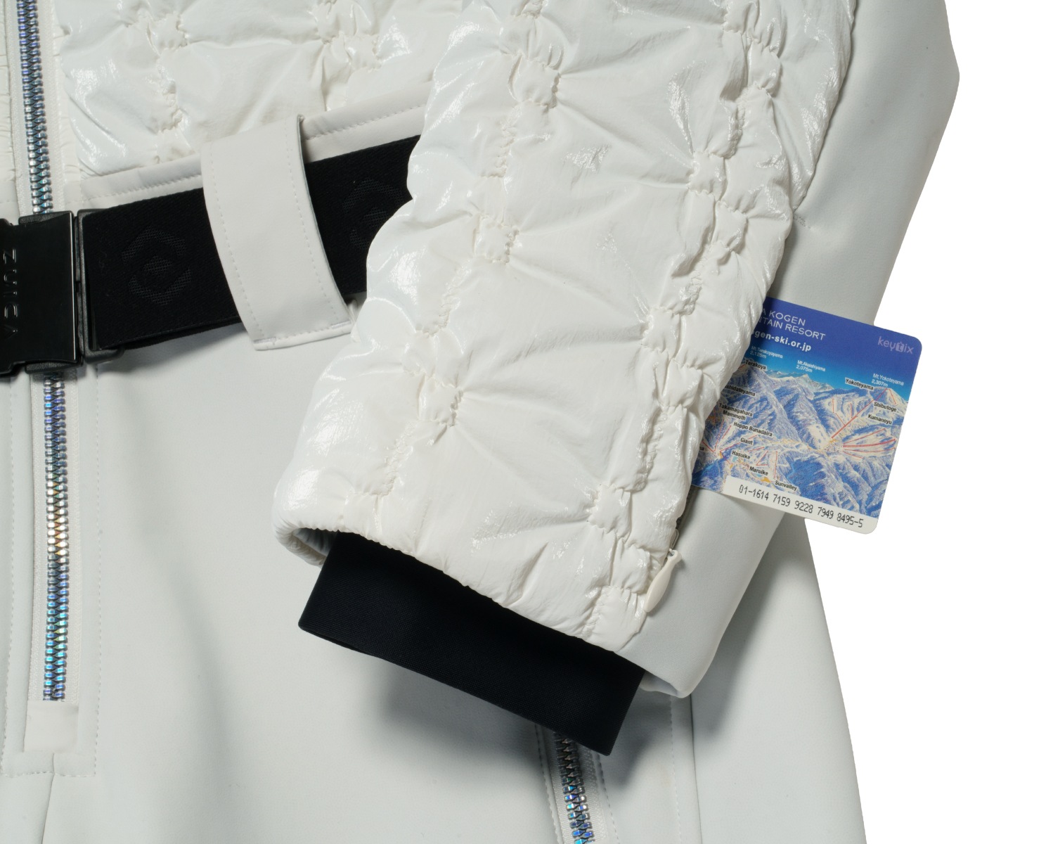 【10月初旬お届け】503 One Piece / ZAL25OP31