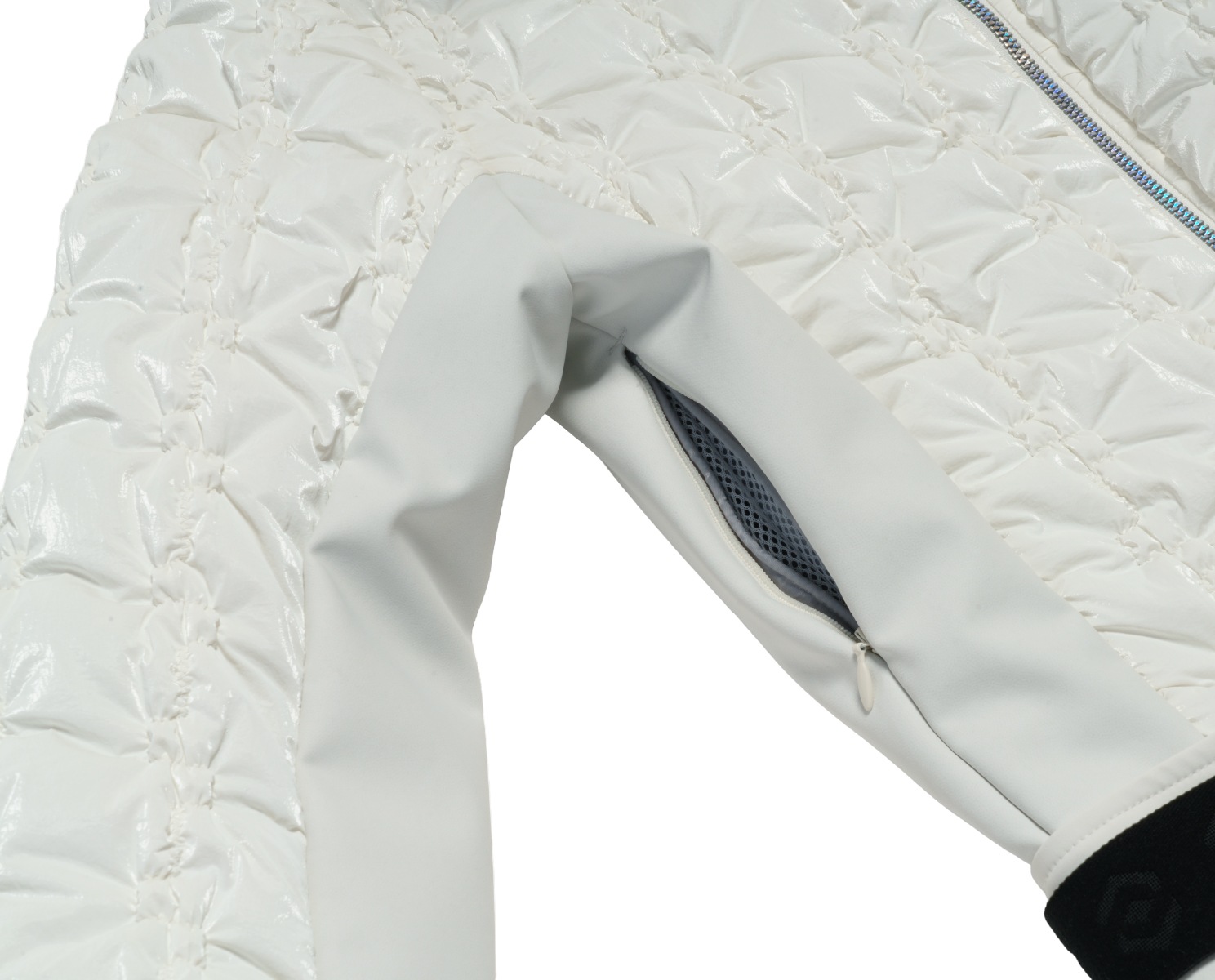 【10月初旬お届け】503 One Piece / ZAL25OP31